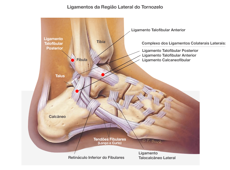 Ligamentos Tornozelo